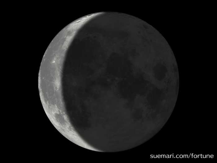 月齢 25.4 日