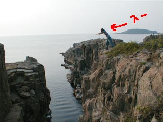 �E�C�������X�[