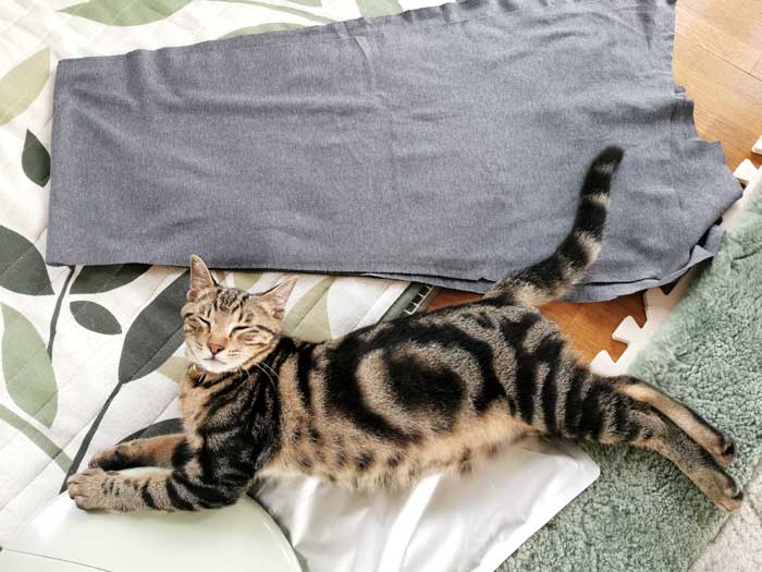 【作り方】布とミシンで猫のベッドを自作★猫が体を伸ばせるニャ