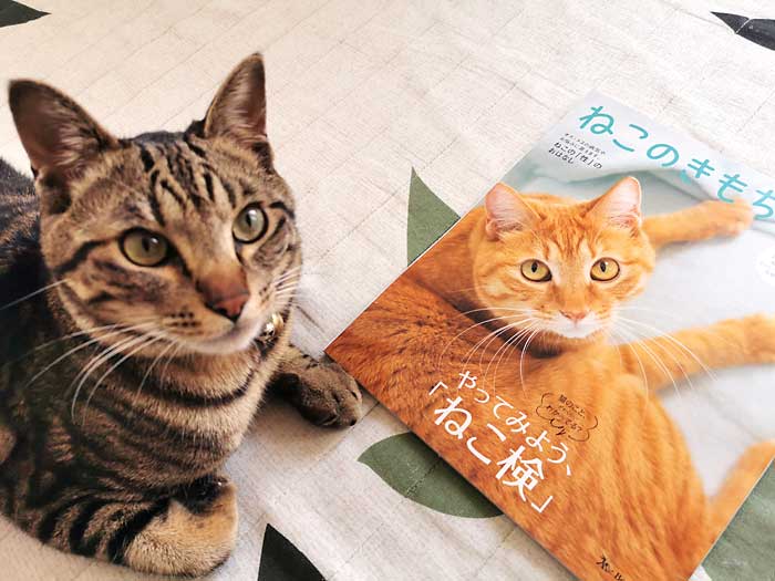 猫の雑誌「ねこのきもち」を１年間購読して良かったと思う