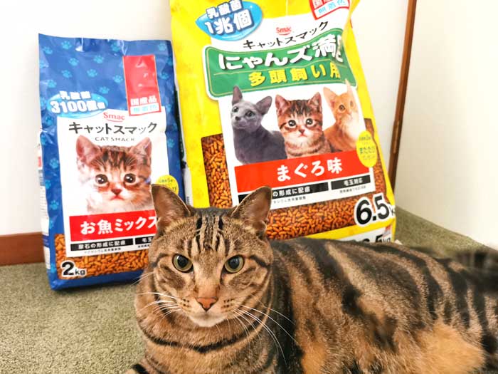 キャットフード