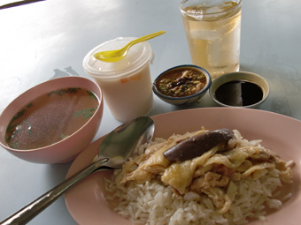 テスコロータスへ