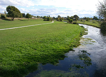 ブレナム観光＆再びワイナリー