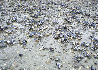 マルボロでサイクリング　今日は見渡す限りのマッスル！