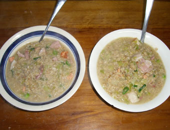 フランツジョセフ～アーサーズパス