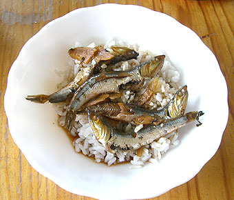 今日は何もしてないね