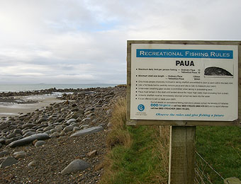 パウア採り＆釣り