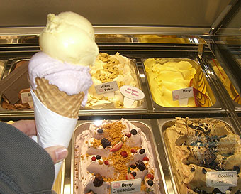 ディア・パーク