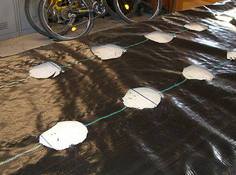 朝は釣り、そしてひたすら切る仕事時給14ドル