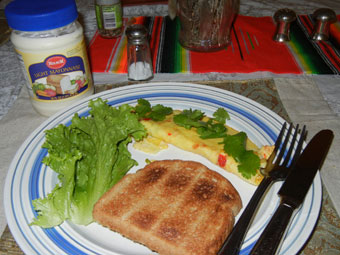 ブルーグラスフェスティバル