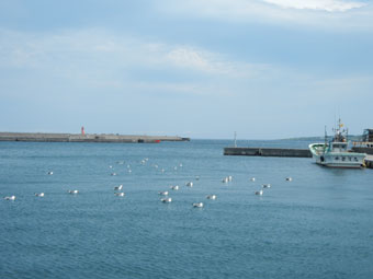 写真